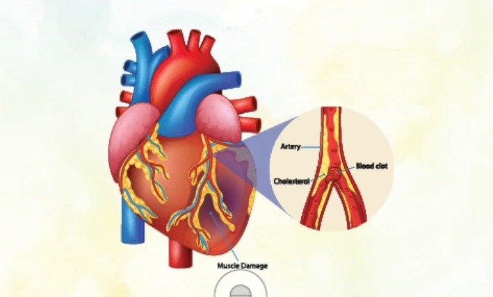 The Tipping Point: How 2025 Redefined the Boundaries of “Heart Health”